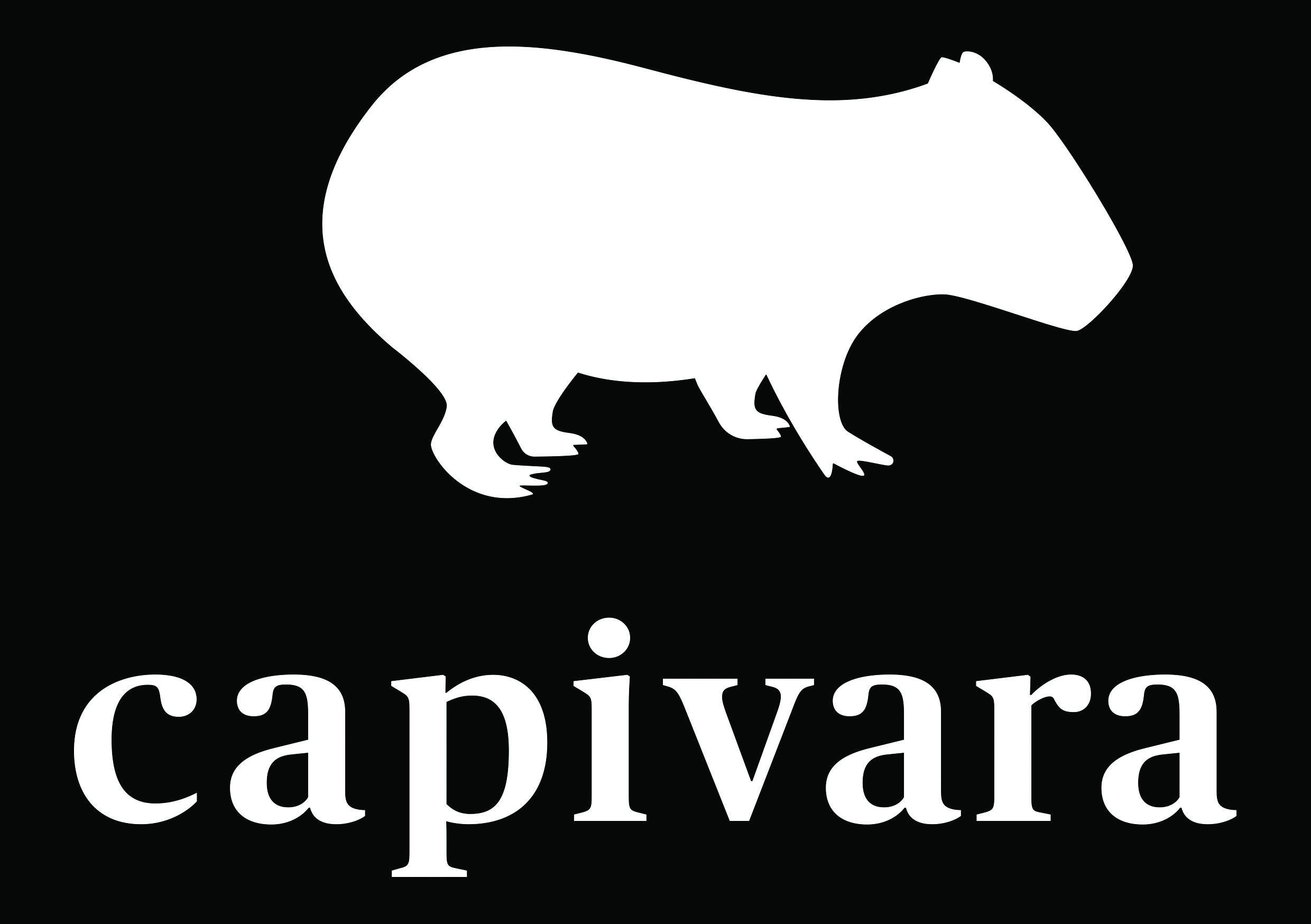 logo  EDITORA CAPIVARA